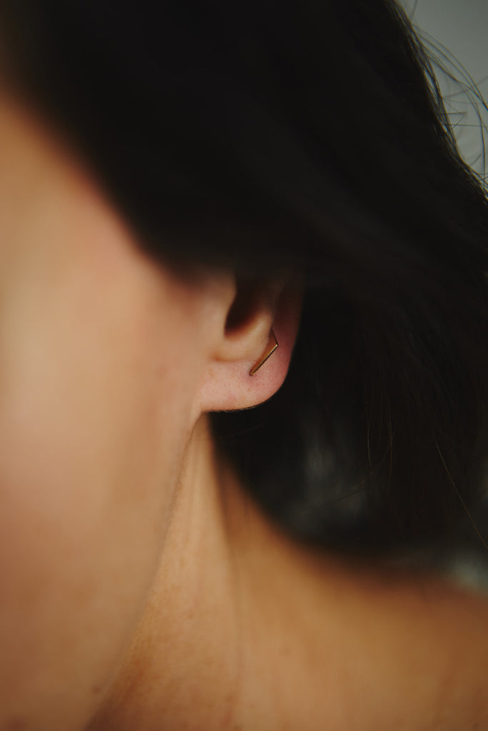METRIC EAR CRAWLER